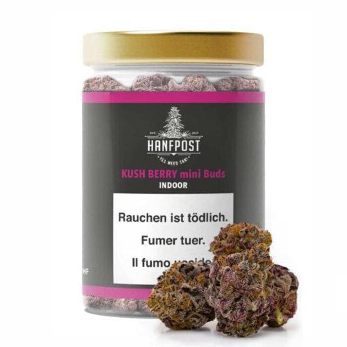 Bilder Hanfpost.ch (by Wonderland Trading GmbH)