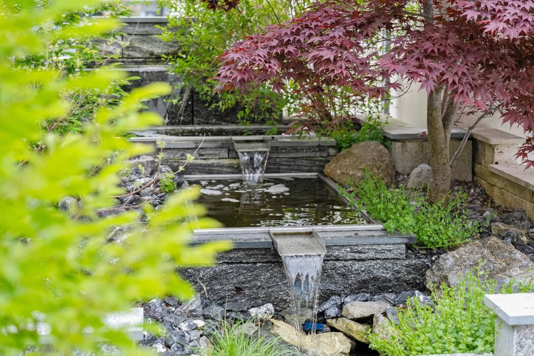Bilder Scheibler Gartenbau AG