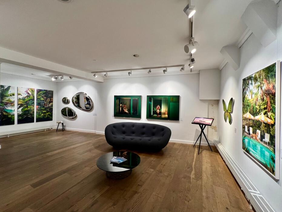 Bilder LUMAS Galerie Zürich