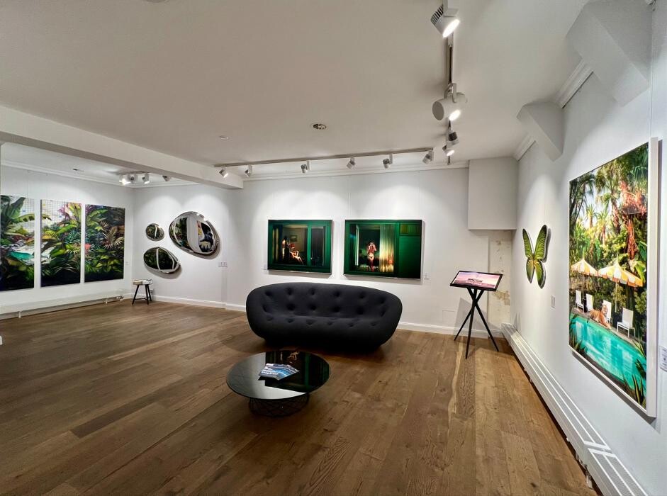 Bilder LUMAS Galerie Zürich