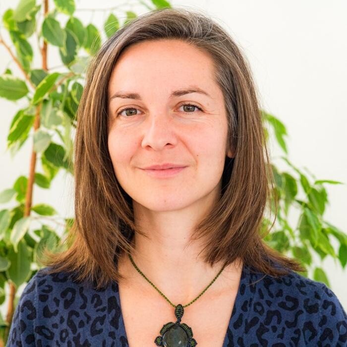 Bilder Praxis für Lebendigkeit; Kinesiologie, Supervisionen, Systemische Aufstellungen