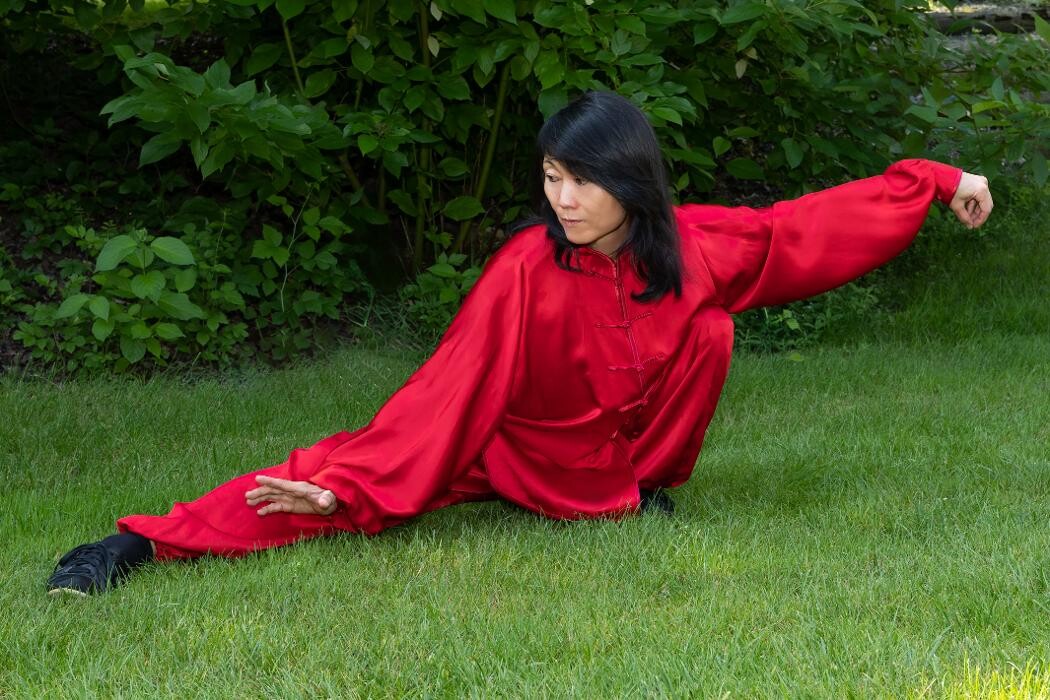 Bilder TAICHI Fanny Wang