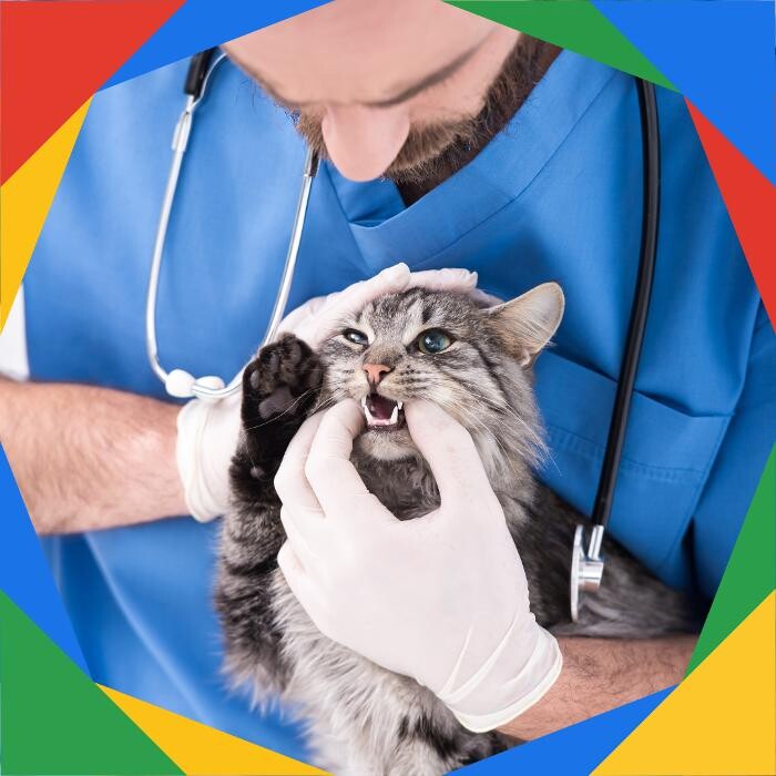 Bilder Bleib Lokal | Online Marketing Agentur für Google Ads, SEO & Social Media