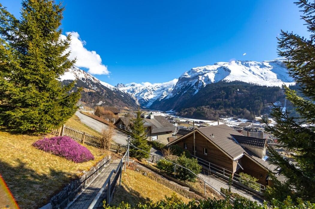 Bilder REMAX Immobilien Engelberg