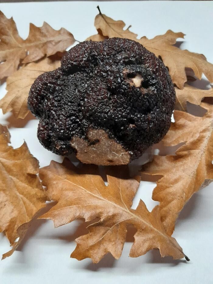 Bilder La Truffe du Mont, Christophe Corbaz