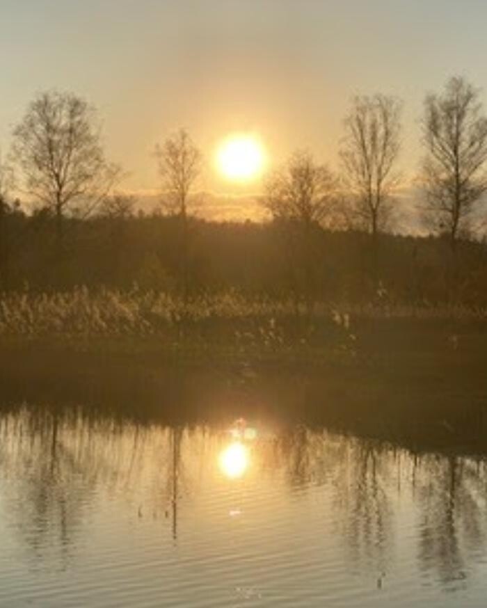 Bilder Geistiges Heilen Anita Grogg