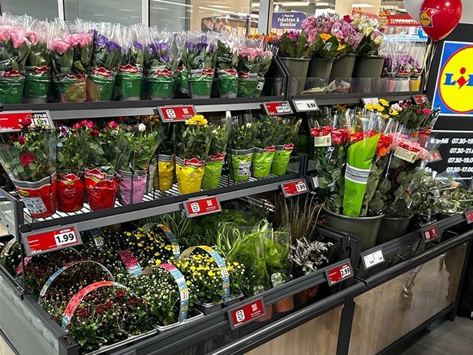 Bilder Lidl Schweiz