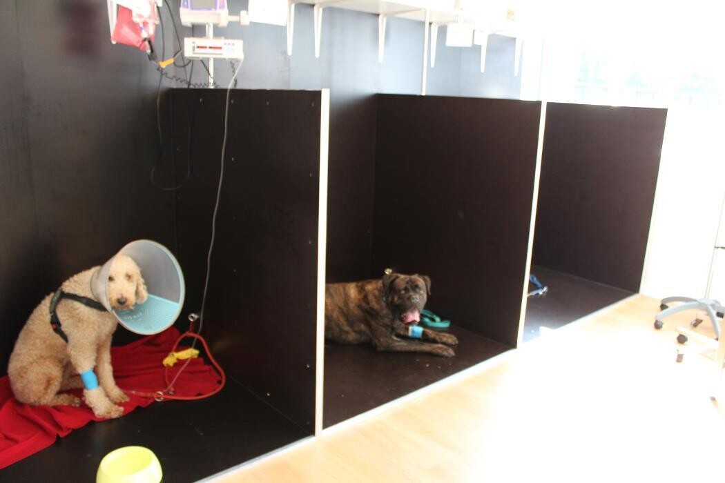 Bilder VET.AVENIR - Cabinet vétérinaire