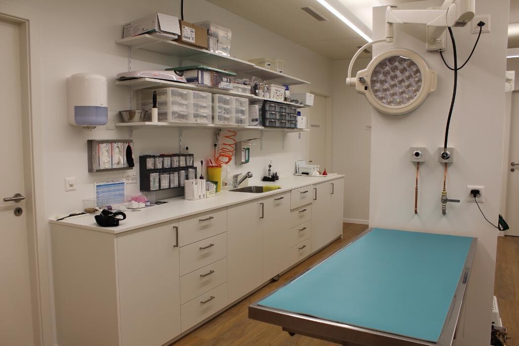 Bilder VET.AVENIR - Cabinet vétérinaire