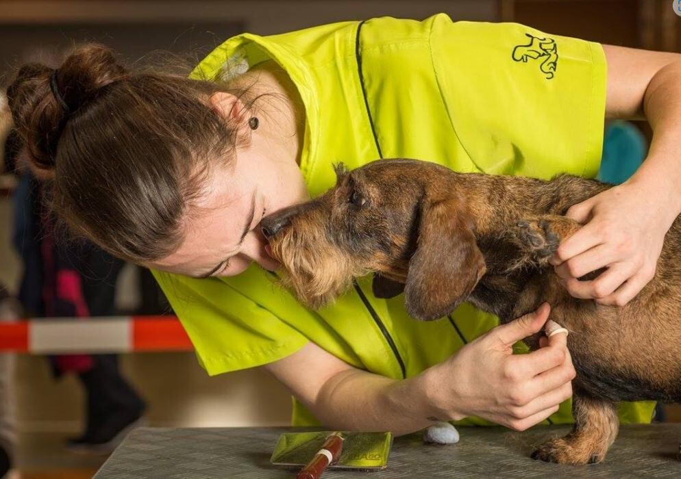 Bilder Hundesalon Pet Cut's