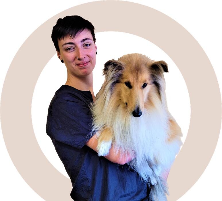 Bilder Hundesalon Pet Cut's