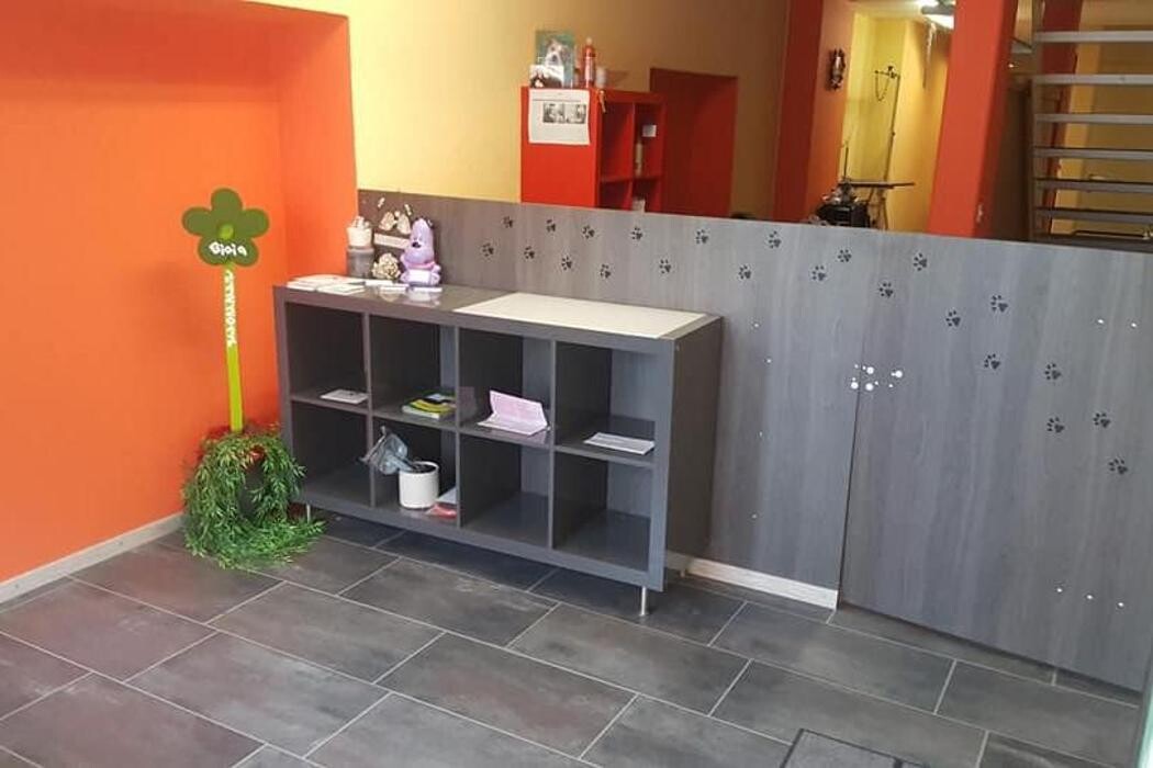 Bilder Hundesalon Pet Cut's