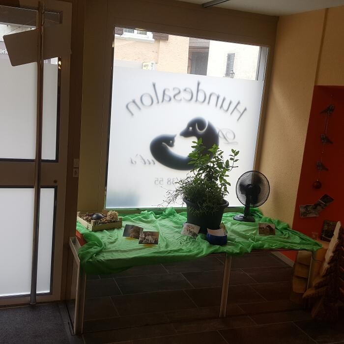 Bilder Hundesalon Pet Cut's
