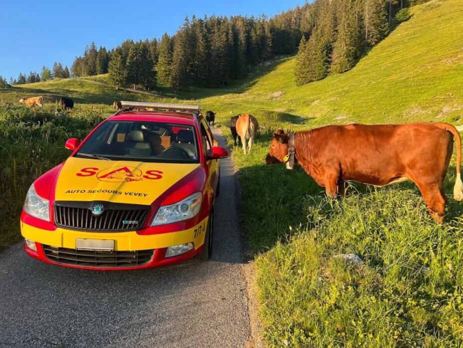 Bilder Auto Secours Vevey SAS Dépannage SA