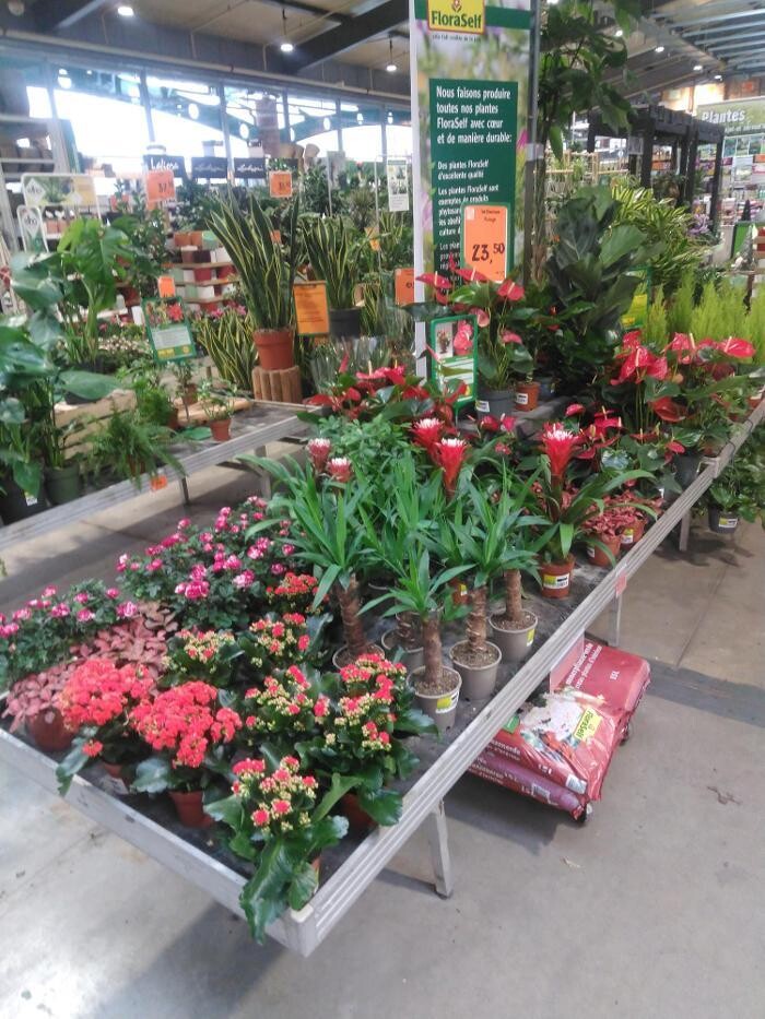 Bilder Jardinerie HORNBACH Villeneuve