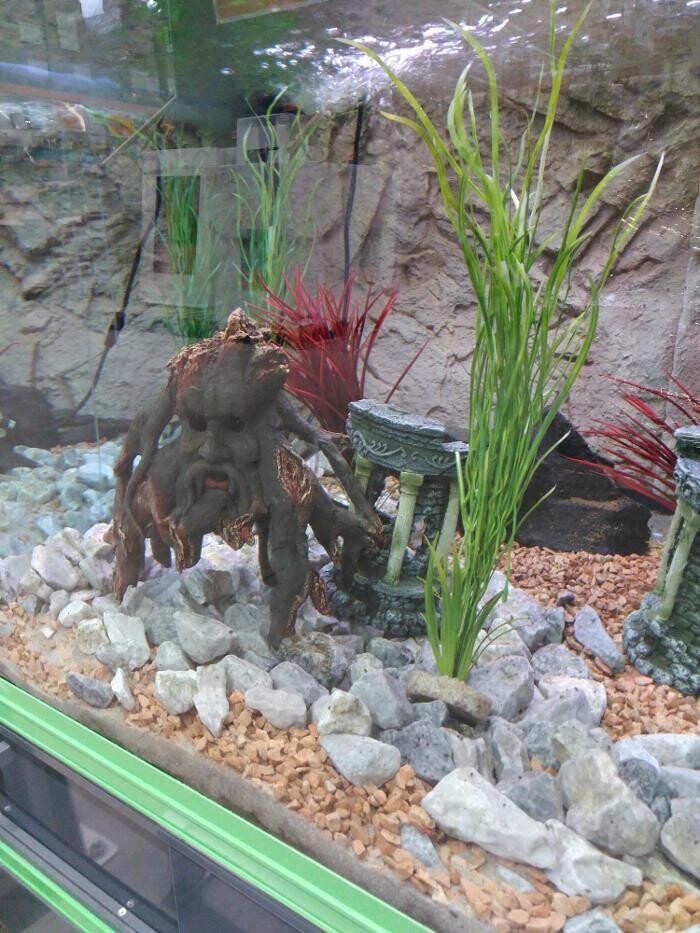 Bilder Jardinerie HORNBACH Villeneuve