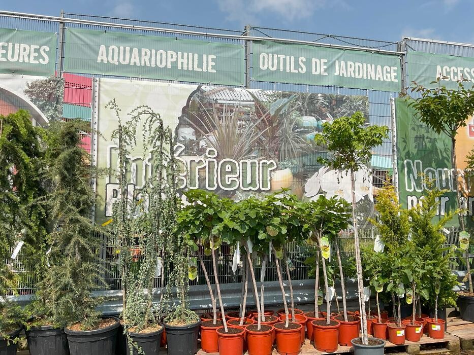 Bilder Jardinerie HORNBACH Riddes
