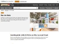 Website Screenshot Haus des Bades HORNBACH Affoltern am Albis