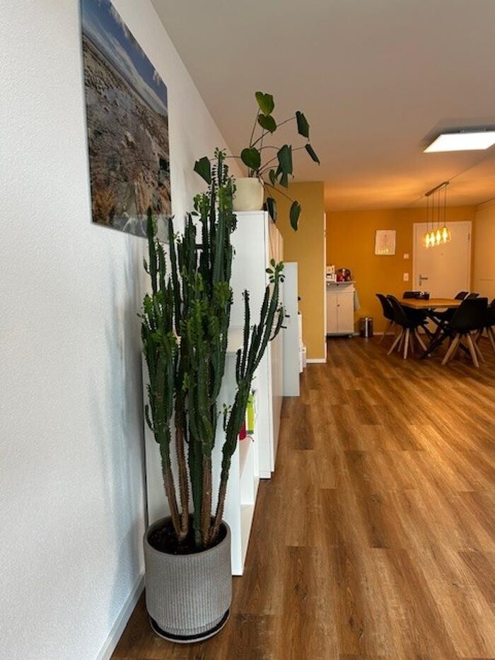 Bilder Notariat-Seetal GmbH