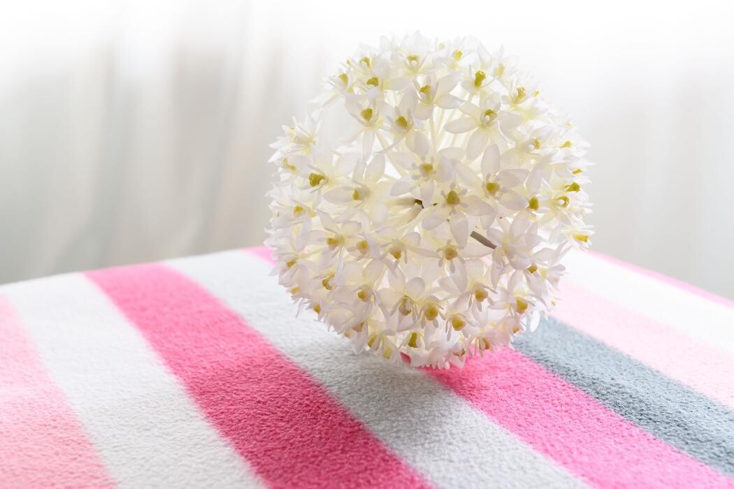 Bilder Praxis Silvestri Craniosacral Therapie & FOI in Baden