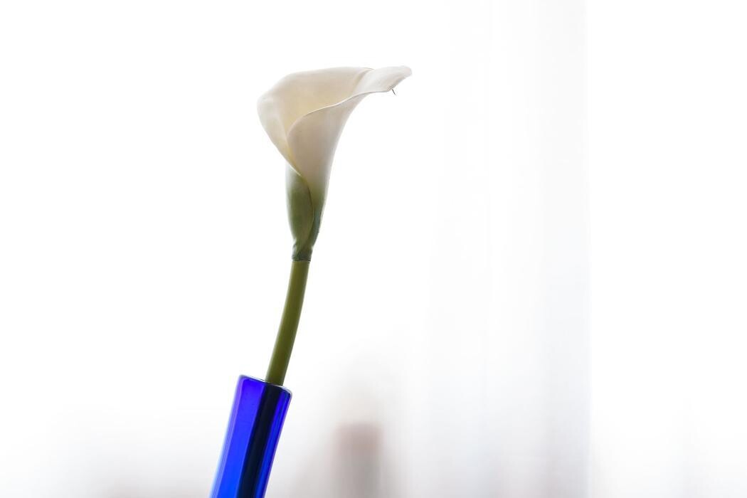 Bilder Praxis Silvestri Craniosacral Therapie & FOI in Baden