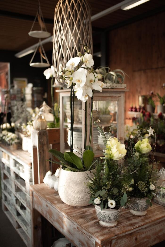 Bilder Frischmärit Bichsel (Blumen, Früchte & Gemüse)