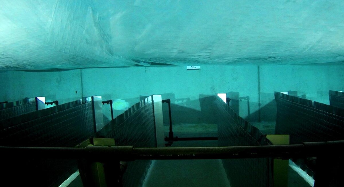 Bilder B-Solartec AG