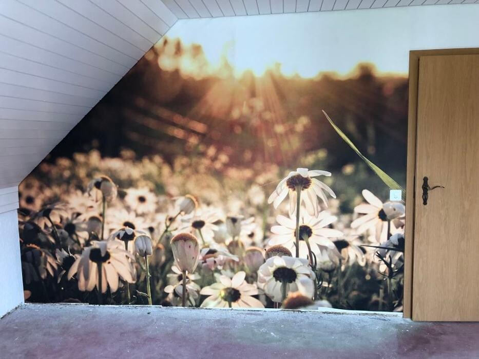 Bilder R. Häusermann Malergeschäft