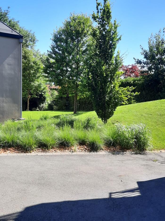 Bilder La CLEF d'OR Nettoyage et Conciergerie Sàrl