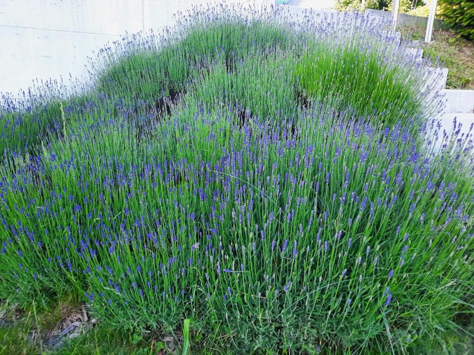 Bilder La CLEF d'OR Nettoyage et Conciergerie Sàrl