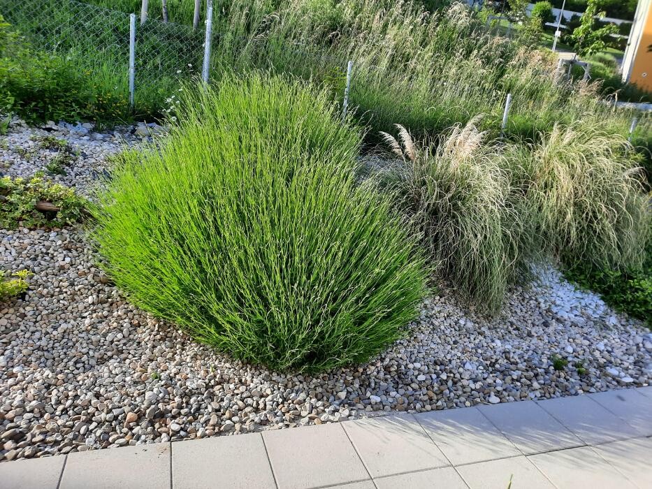 Bilder La CLEF d'OR Nettoyage et Conciergerie Sàrl