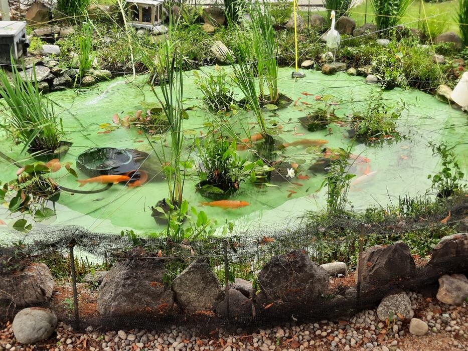 Bilder La CLEF d'OR Nettoyage et Conciergerie Sàrl