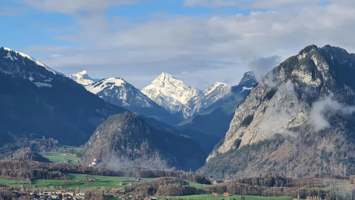 Bilder Restaurant Panorama