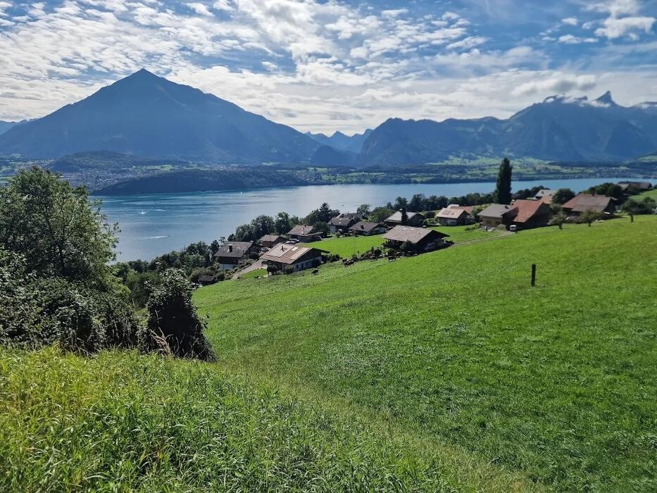 Bilder Restaurant Panorama