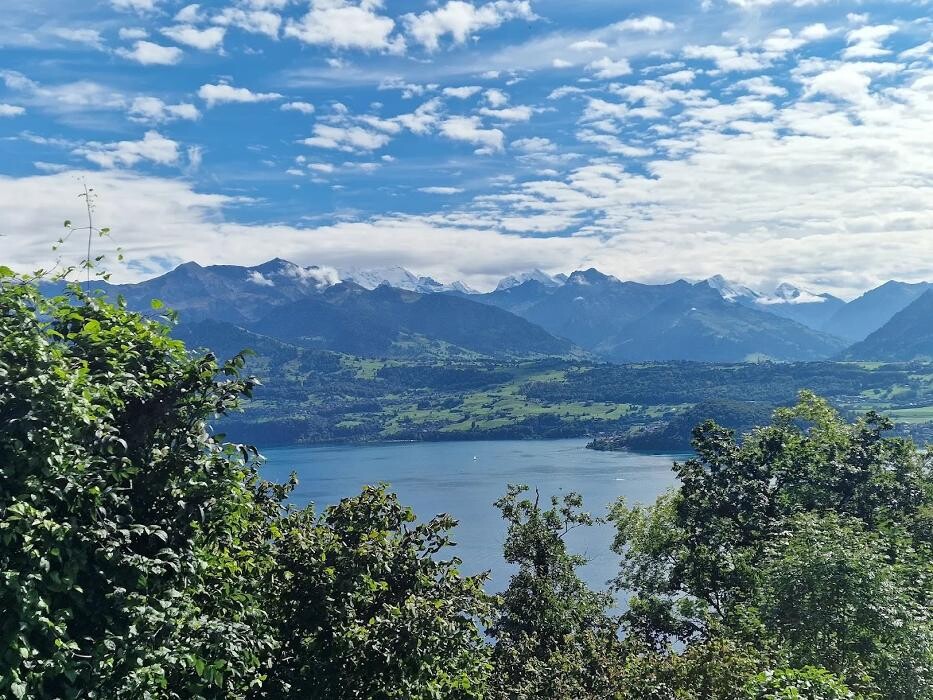 Bilder Restaurant Panorama