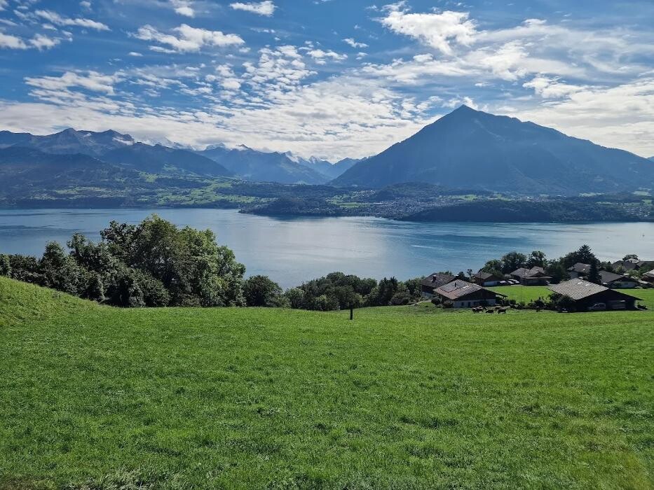 Bilder Restaurant Panorama