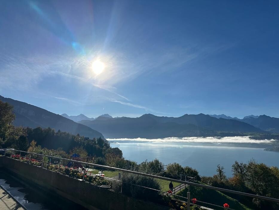 Bilder Restaurant Panorama