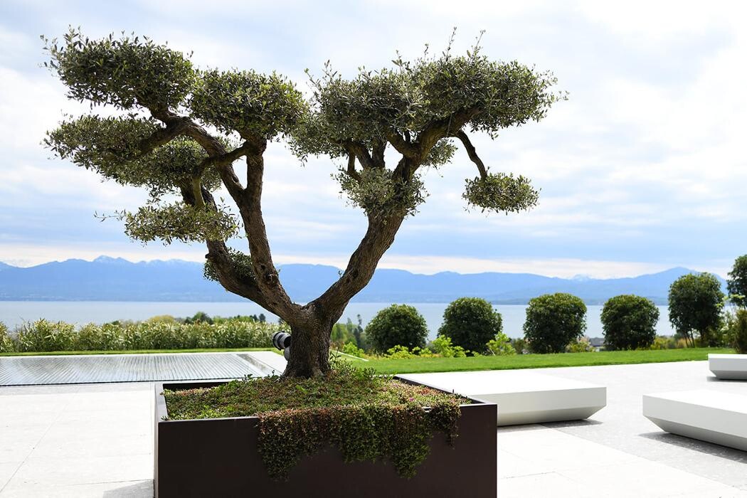 Bilder Dimensions Paysage GE SA