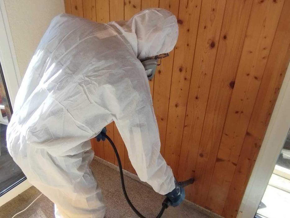 Bilder Kammerjäger Basel| ECOTOX GmbH