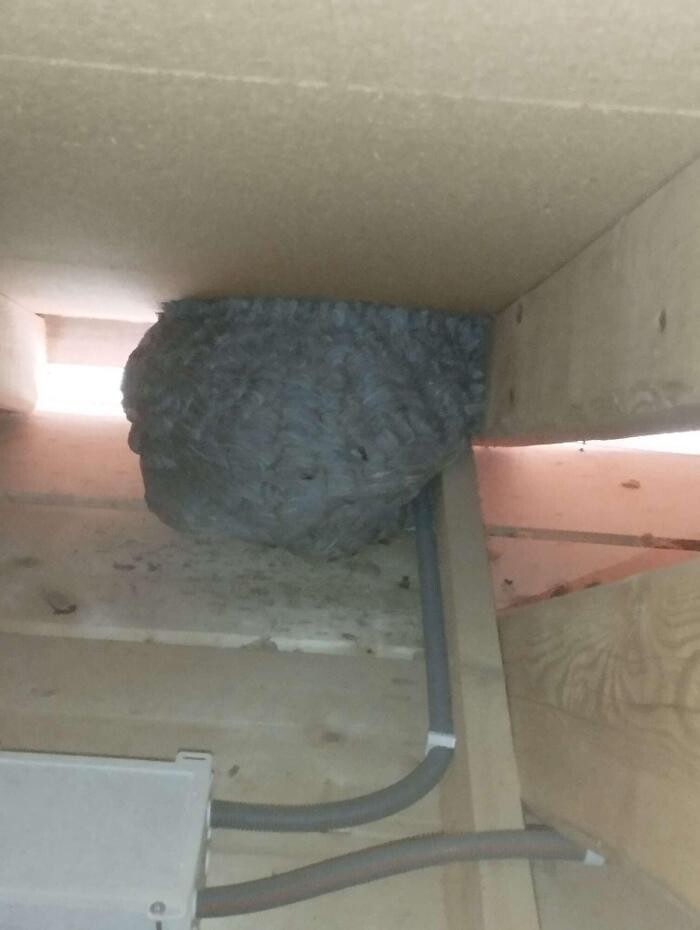 Bilder Kammerjäger Basel| ECOTOX GmbH