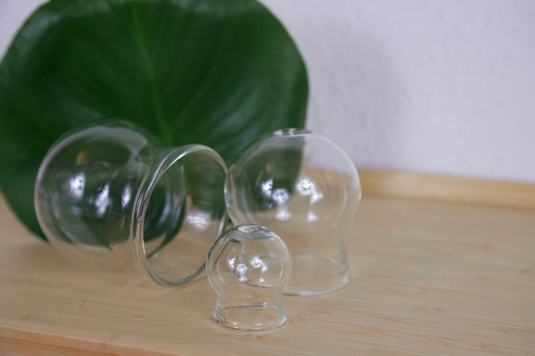 Bilder Heilpraxis Wink der Natur