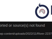 Website Screenshot In Sight Sàrl