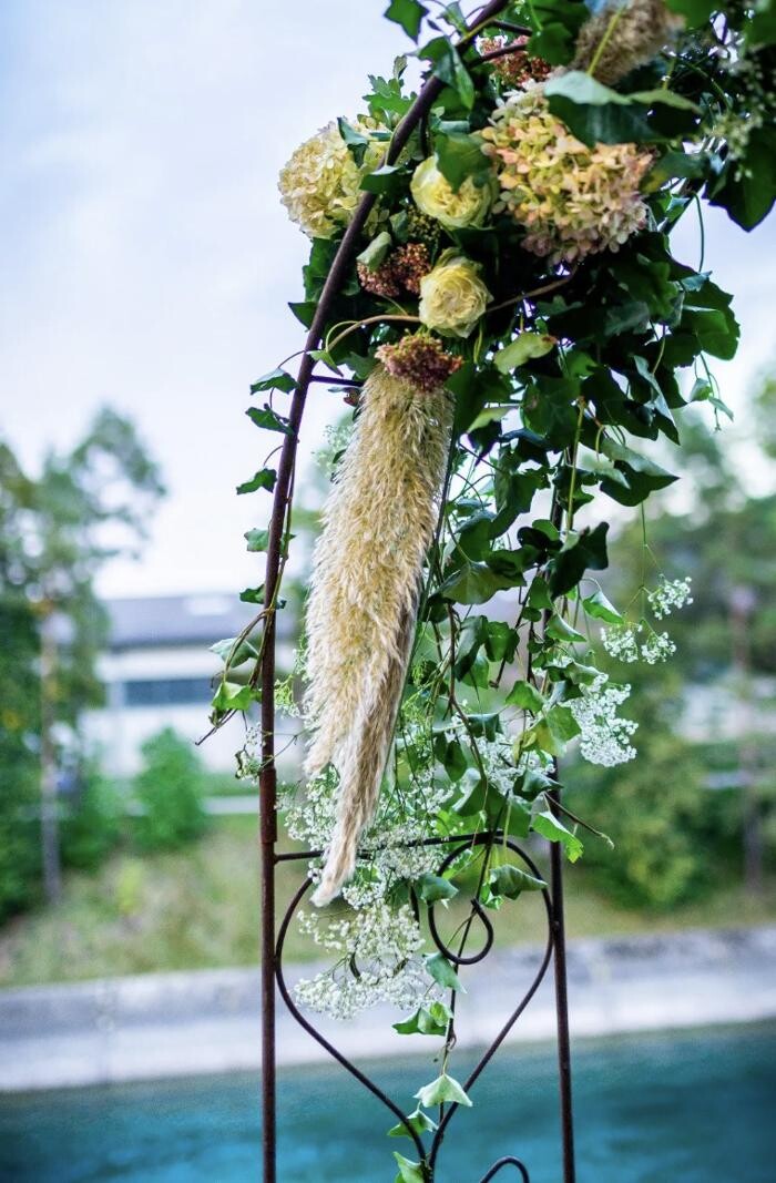 Bilder Casa Flora AG