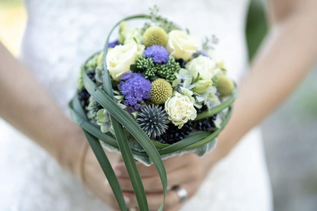 Bilder Casa Flora AG