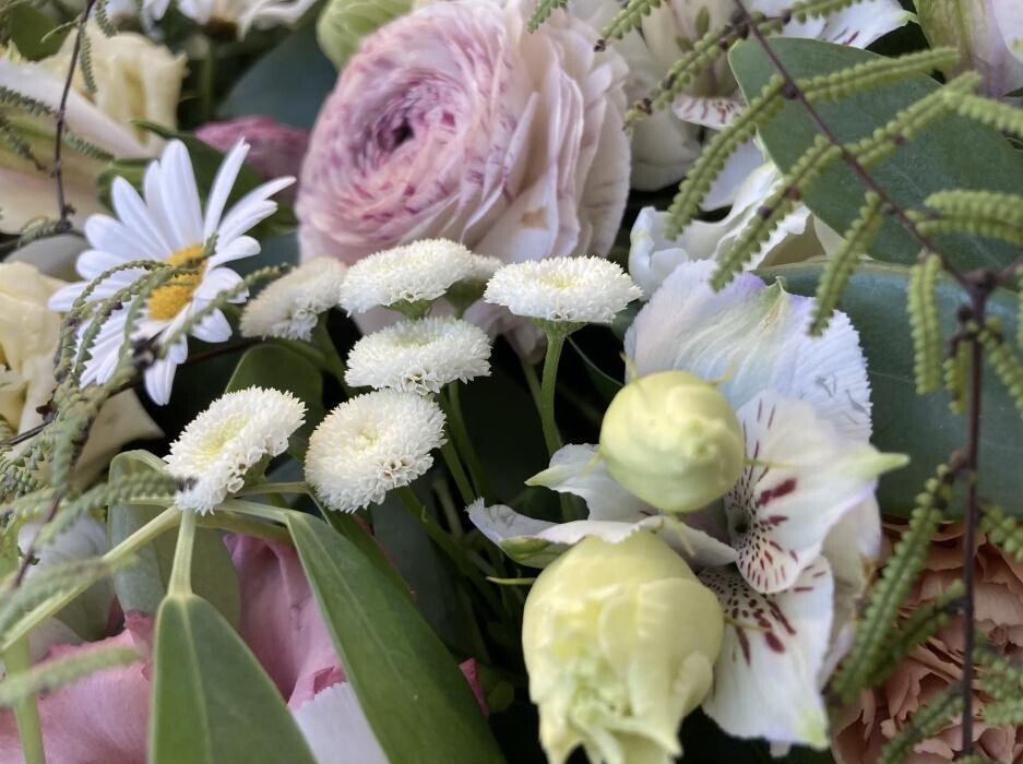 Bilder Casa Flora AG