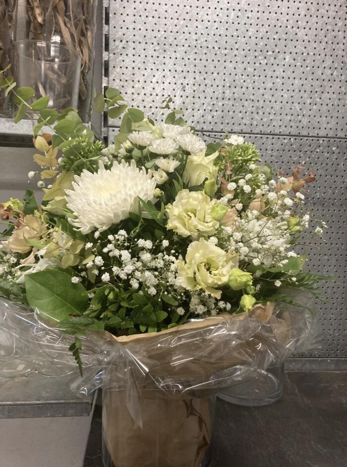 Bilder Casa Flora AG