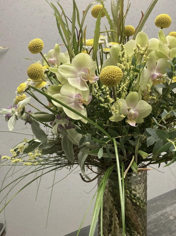 Bilder Casa Flora AG