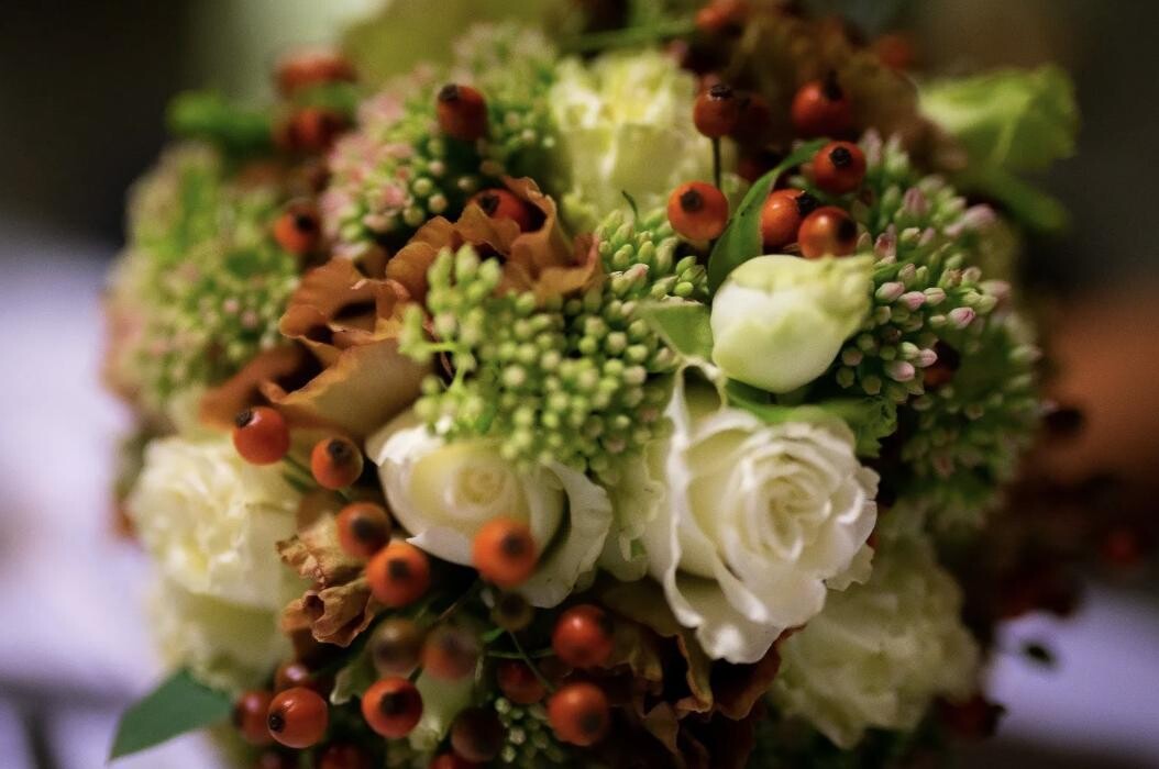 Bilder Casa Flora AG