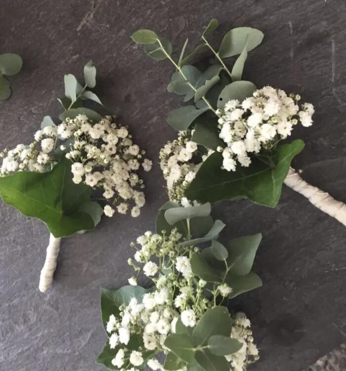 Bilder Casa Flora AG