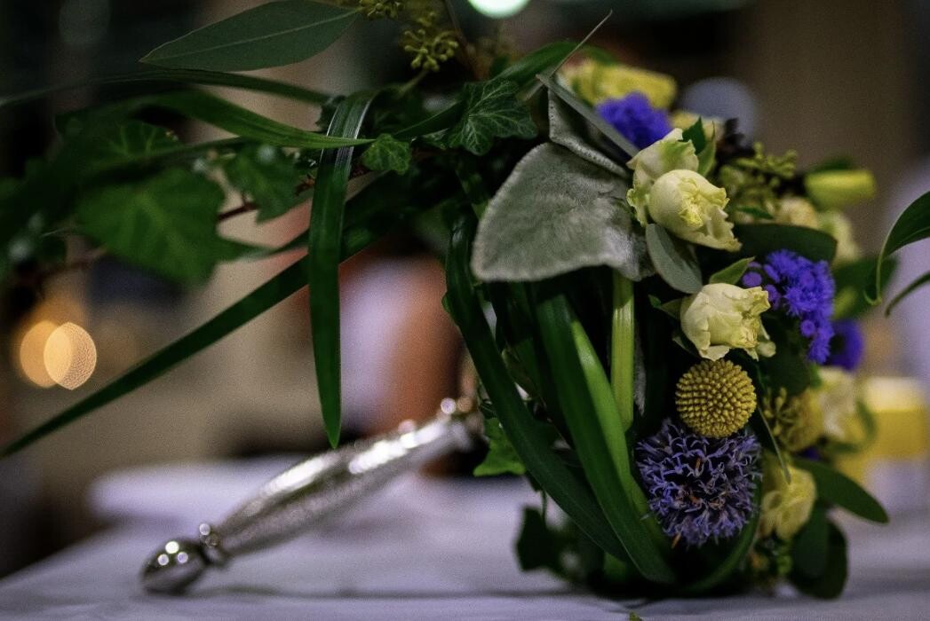 Bilder Casa Flora AG
